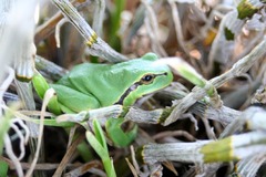 Killikus&reg; Fotographie